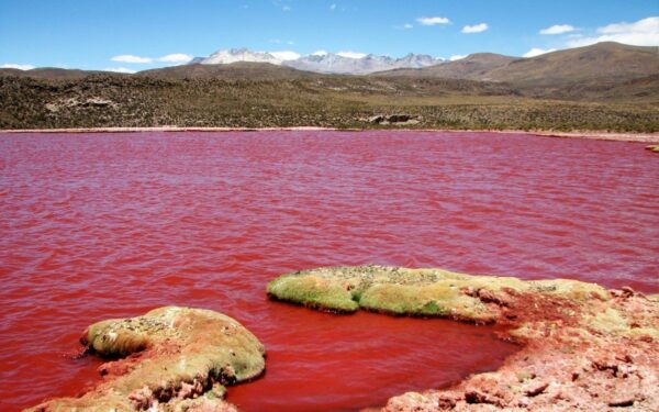Tour Laguna Roja