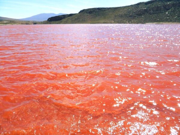 Tour Laguna Roja - Imagen 4