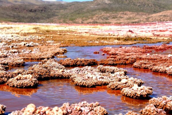 Tour Laguna Roja - Imagen 8