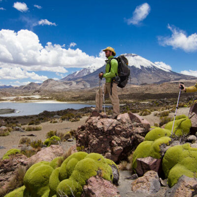 Tour Lago Chungara