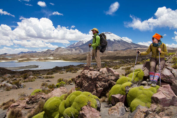 Tour Lago Chungara
