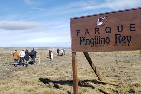 Parque Pinguino Rey - Imagen 6