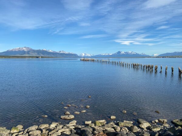 Full Day Torres del Paine - Imagen 8