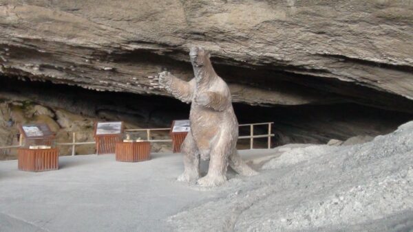 Full Day Torres del Paine - Imagen 2
