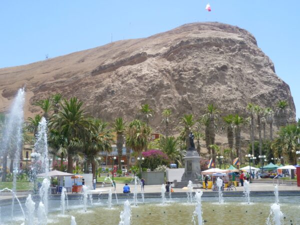 Tour Lago Chungara - Imagen 8