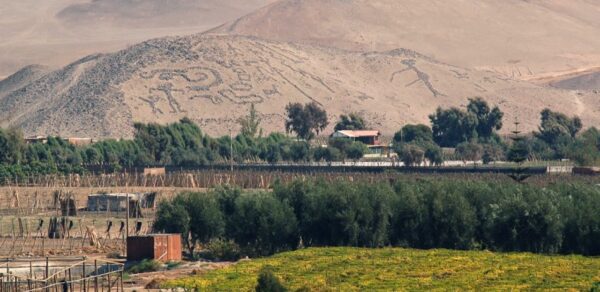 Tour Lago Chungara - Imagen 7