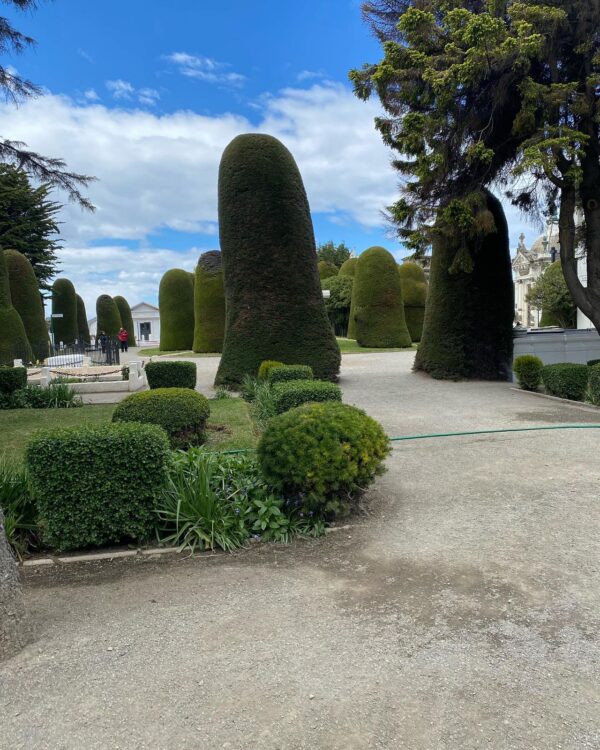 City Tour Punta Arenas - Imagen 5