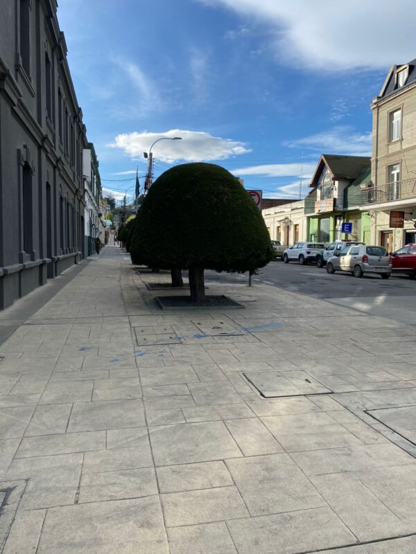 City Tour Punta Arenas - Imagen 7
