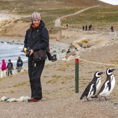 Pinguinos Isla Magdalena