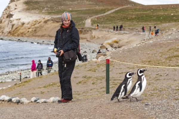 Pinguinos Isla Magdalena