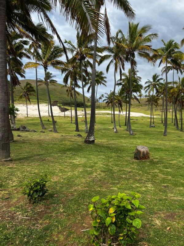 Full Day Moai Henua - Imagen 3